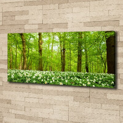 Fotobild Blumen im Wald