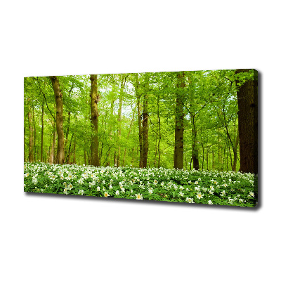 Fotobild Blumen im Wald