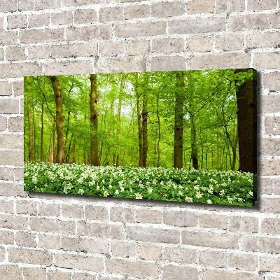 Fotobild Blumen im Wald