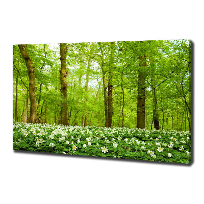 Fotobild Blumen im Wald