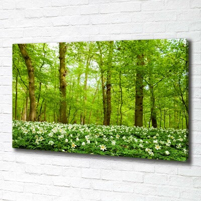 Fotobild Blumen im Wald