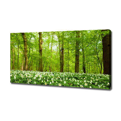 Fotobild Blumen im Wald