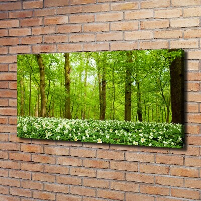 Fotobild Blumen im Wald