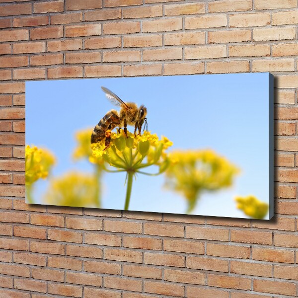 Bild auf leinwand Eine Biene auf einer Blume