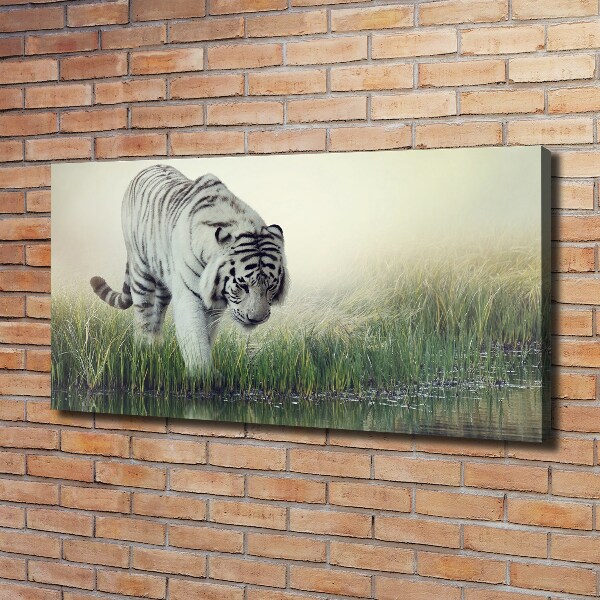 Bild auf leinwand Weißer Tiger