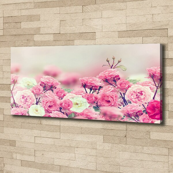 Fotobild Wildrosenblüten