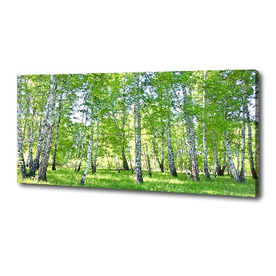 Bild auf leinwand Birken