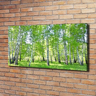 Bild auf leinwand Birken