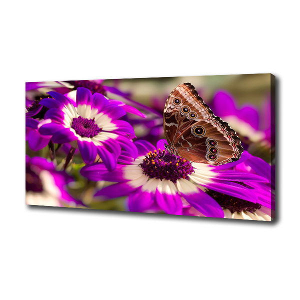 Bild auf leinwand Schmetterling auf einer Blume