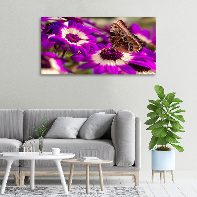 Bild auf leinwand Schmetterling auf einer Blume