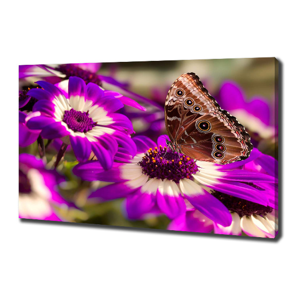 Bild auf leinwand Schmetterling auf einer Blume