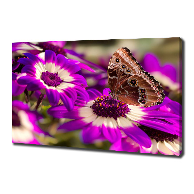 Bild auf leinwand Schmetterling auf einer Blume