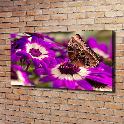 Bild auf leinwand Schmetterling auf einer Blume
