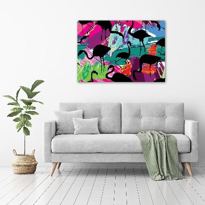 Fotobild Flamingos