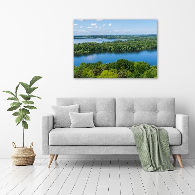Bild auf leinwand Wald am See