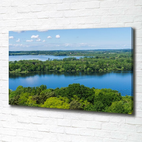 Bild auf leinwand Wald am See