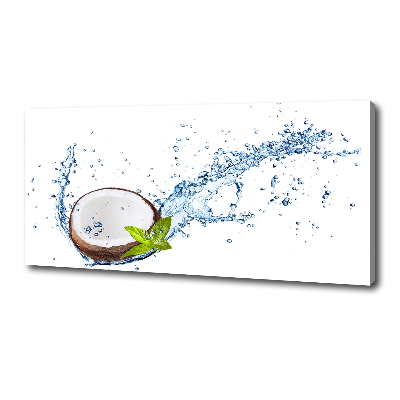 Fotobild Kokosnuss und Wasser