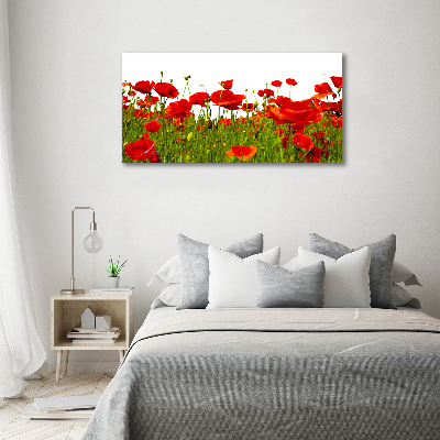 Bild auf leinwand Feldmohn