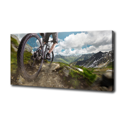 Bild auf leinwand Mountainbiken