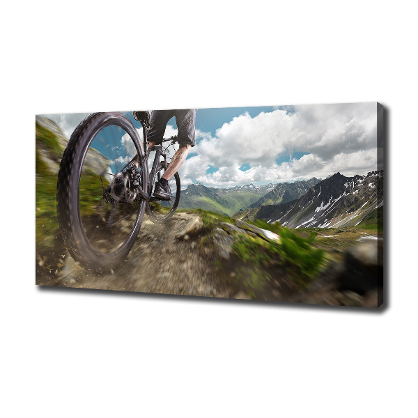 Bild auf leinwand Mountainbiken
