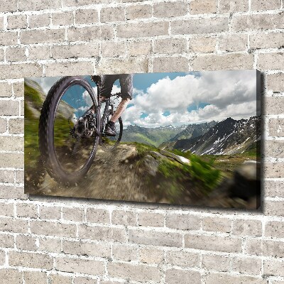 Bild auf leinwand Mountainbiken
