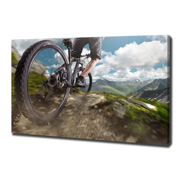 Bild auf leinwand Mountainbiken