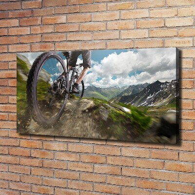 Bild auf leinwand Mountainbiken