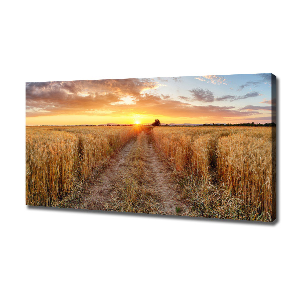 Bild auf leinwand Weizenfeld
