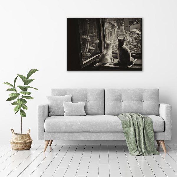 Fotobild Katzen am Fenster