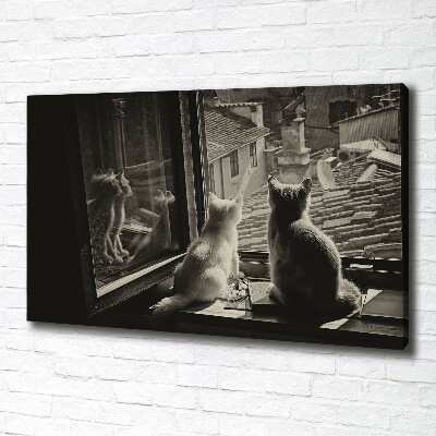 Fotobild Katzen am Fenster