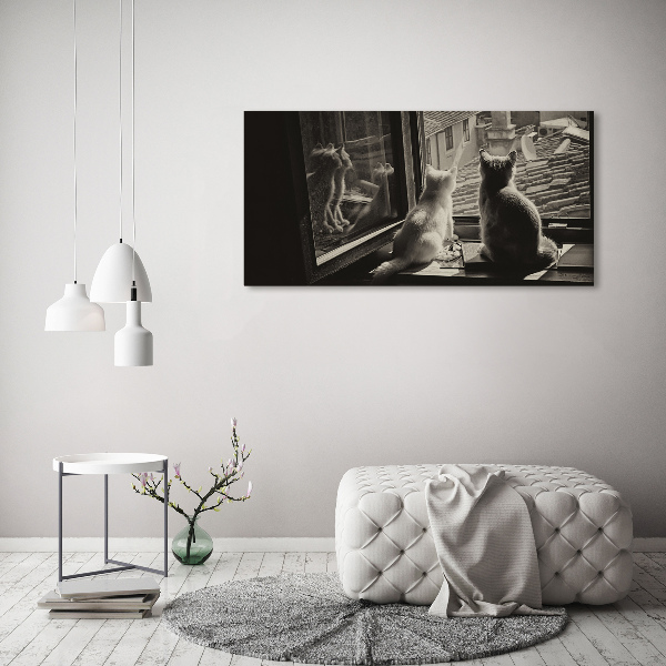 Fotobild Katzen am Fenster