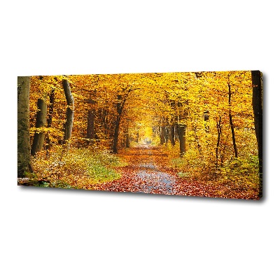 Fotobild Wald im Herbst