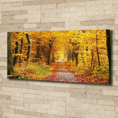 Fotobild Wald im Herbst