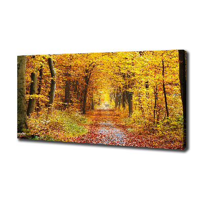 Fotobild Wald im Herbst