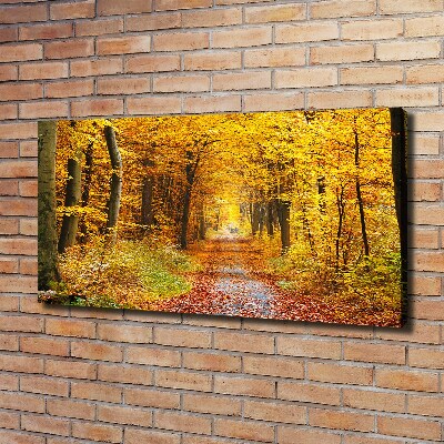 Fotobild Wald im Herbst