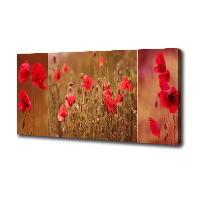 Bild auf leinwand Mohnblumen-Triptychon