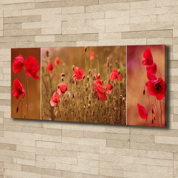Bild auf leinwand Mohnblumen-Triptychon