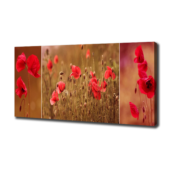 Bild auf leinwand Mohnblumen-Triptychon