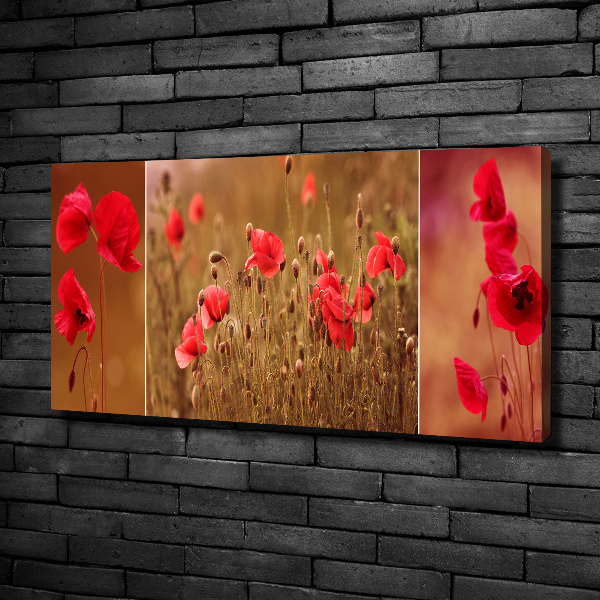 Bild auf leinwand Mohnblumen-Triptychon