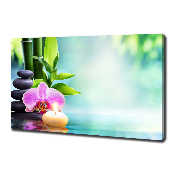 Wandbild Bambusorchidee