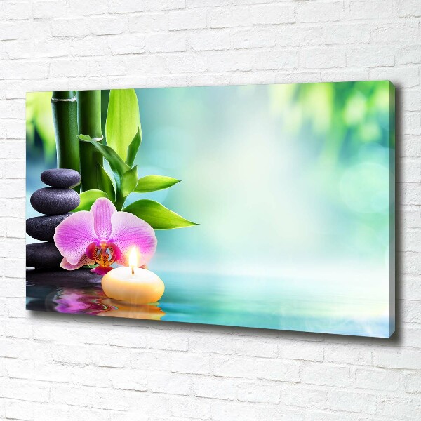 Wandbild Bambusorchidee