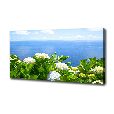 Bild auf leinwand Blumen am Meer