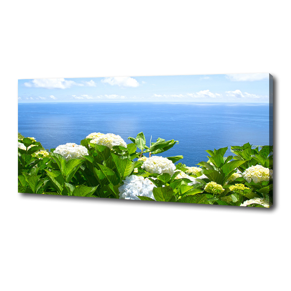Bild auf leinwand Blumen am Meer