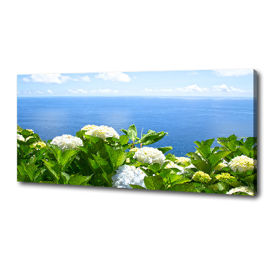 Bild auf leinwand Blumen am Meer