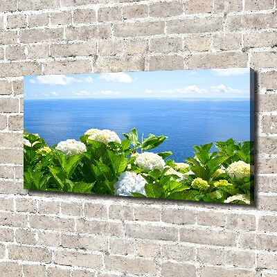 Bild auf leinwand Blumen am Meer