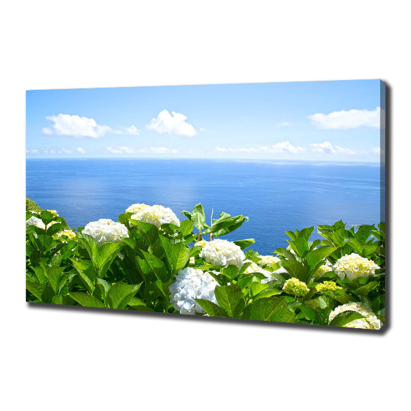 Bild auf leinwand Blumen am Meer