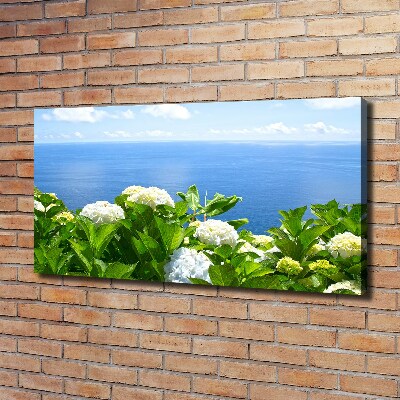 Bild auf leinwand Blumen am Meer