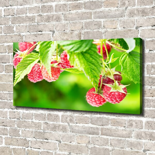 Fotobild Himbeeren im Garten