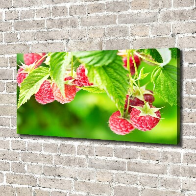 Fotobild Himbeeren im Garten