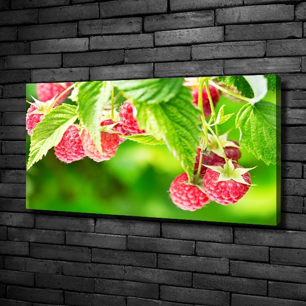 Fotobild Himbeeren im Garten
